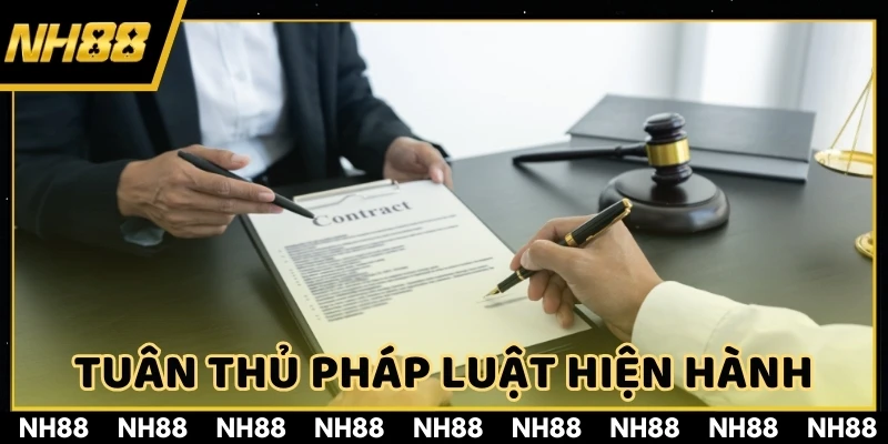 Chúng tôi cam kết tuân thủ pháp luật hiện hành theo chính phủ CEZA