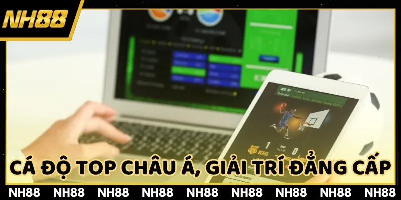 Thương hiệu cá cược hàng đầu Châu Á, cam kết mang đến giải trí đẳng cấp